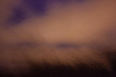 IMG_6181